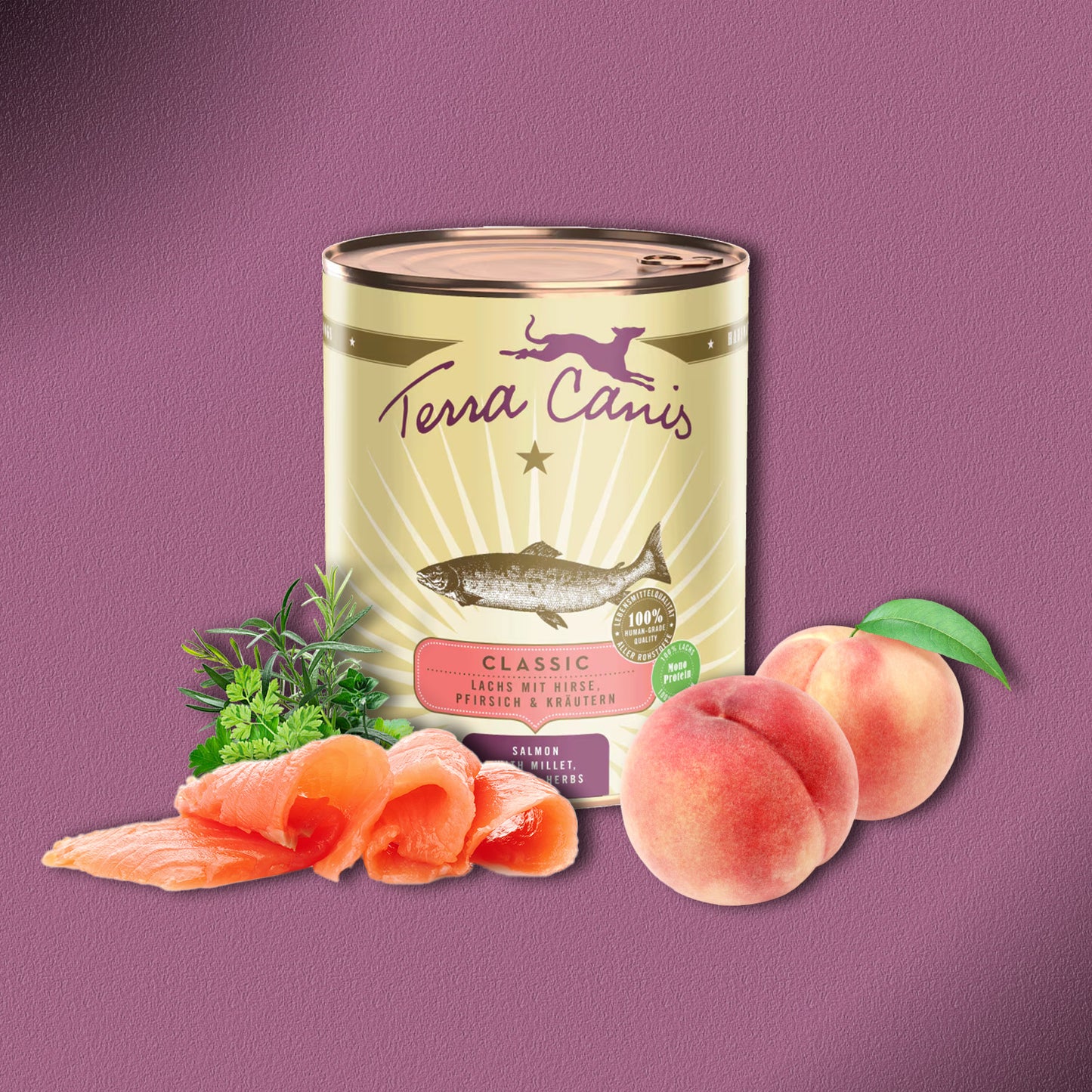 30x800g Terra Canis Classic Lachs mit Hirse, Pfirsich & Kräutern