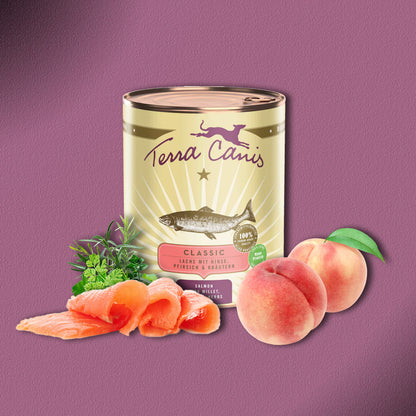 30x800g Terra Canis Classic Lachs mit Hirse, Pfirsich & Kräutern