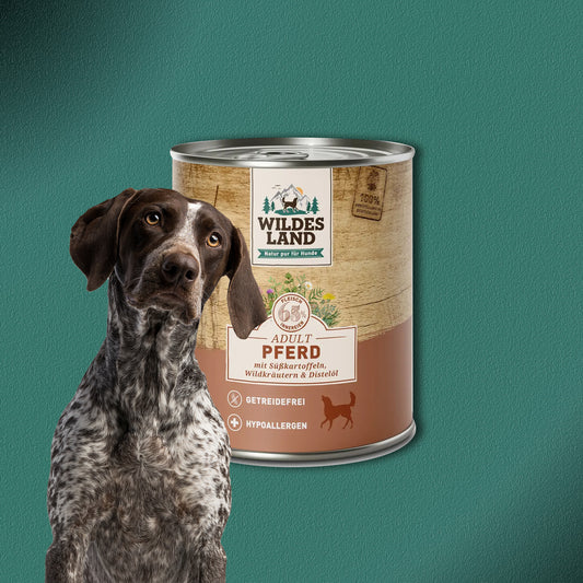 30x800g Wildes Land Adult Pferd mit Süßkartoffeln, Wildkräutern & Distelöl