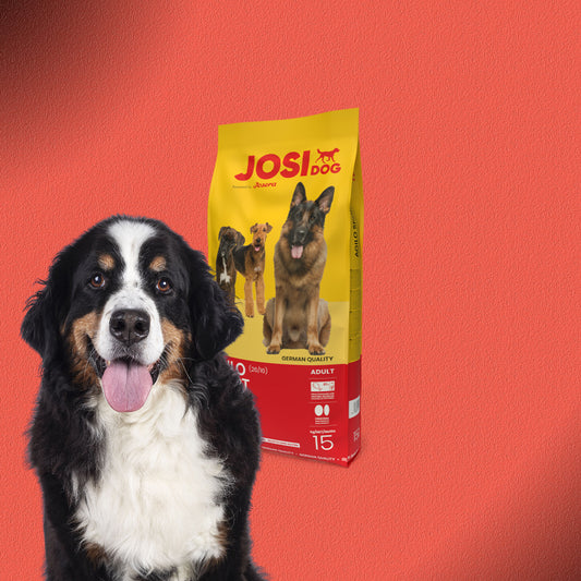 2x15kg JosiDog Agilo Sport Adult