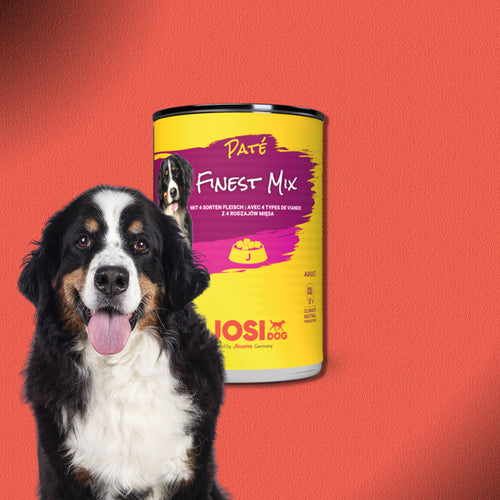 30x800g JosiDog Paté Finest Mix