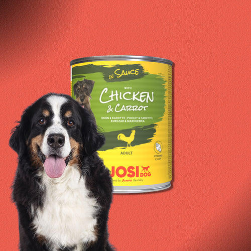 30x830g JosiDog Chicken & Carrot in Sauce