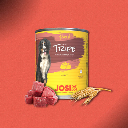 30x800g JosiDog Paté Tripe