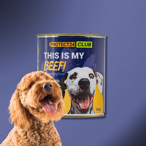 6x800g Protect24 Club - This is my Beef (Rind & Süßkartoffel)