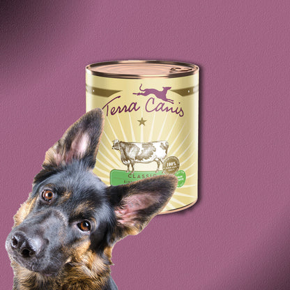 6x800g Terra Canis Classic Rind mit Karotte, Apfel & Naturreis