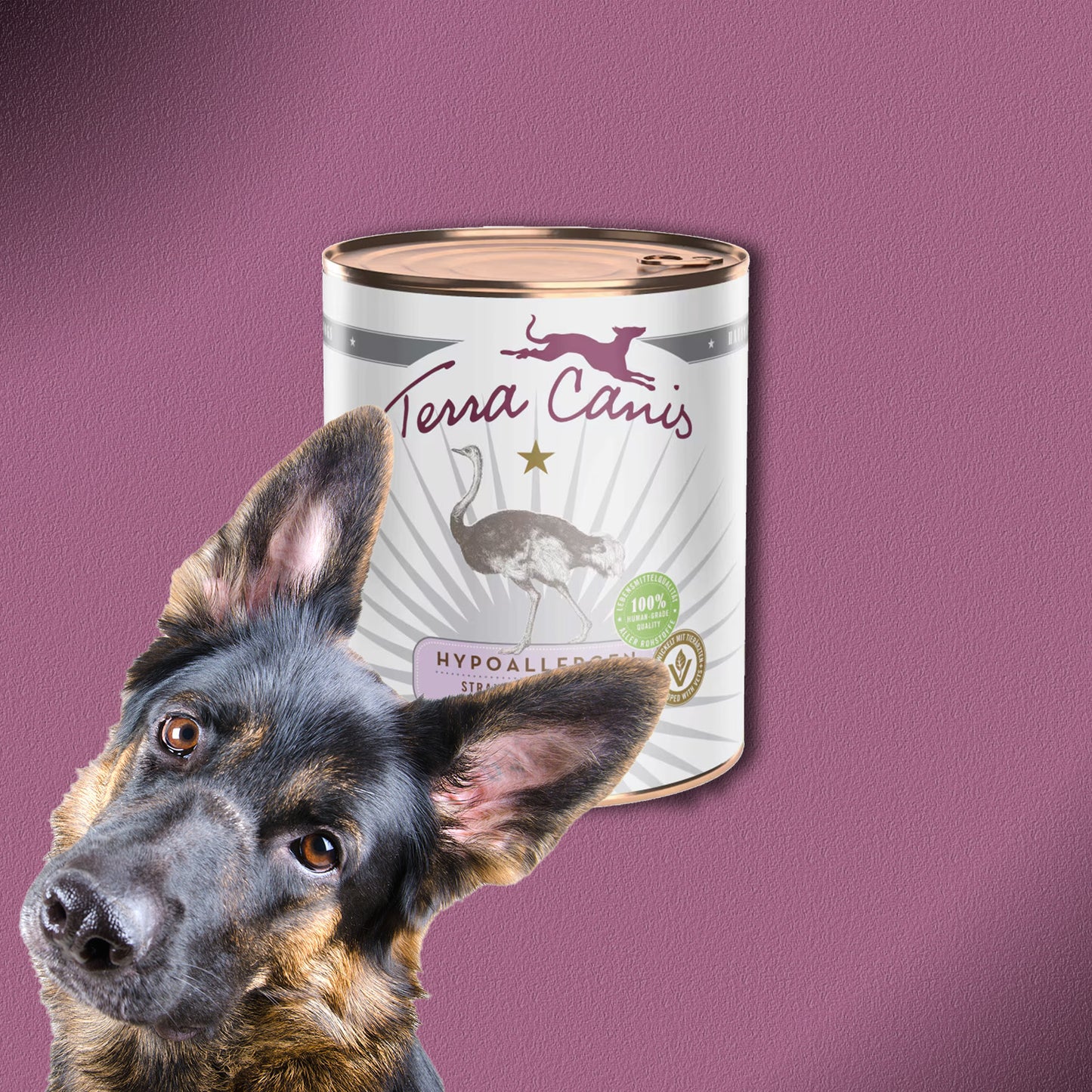 6x800g Terra Canis Hypoallergen Strauß & Pastinake
