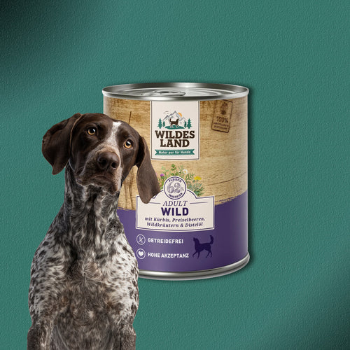 30x800g Wildes Land Adult Wild mit Kürbis, Preiselbeeren & Wildkräutern