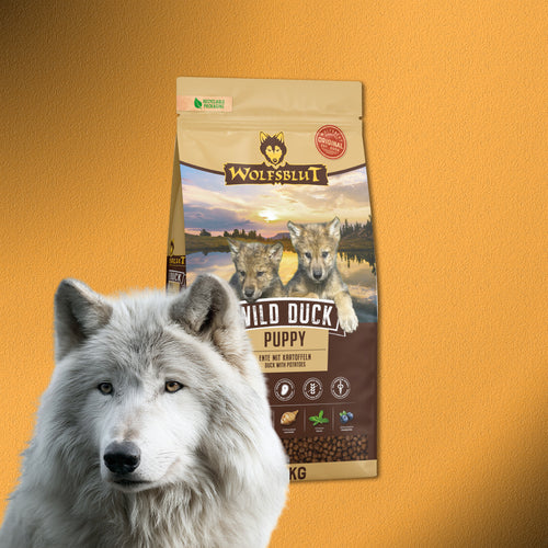 2x12,5 kg Wolfsblut Wild Duck Puppy – Ente mit Kartoffeln