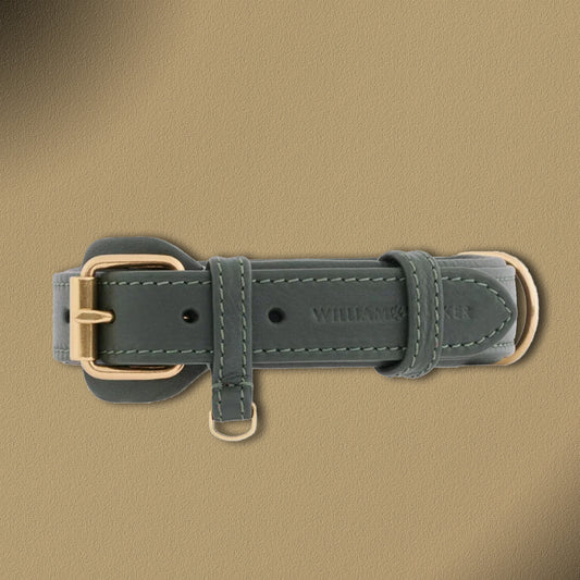 William Walker Lederhalsband Plain Kollektion