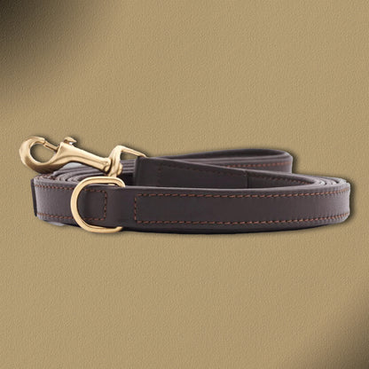 William Walker Hochwertige Leder Hundeleine Plain