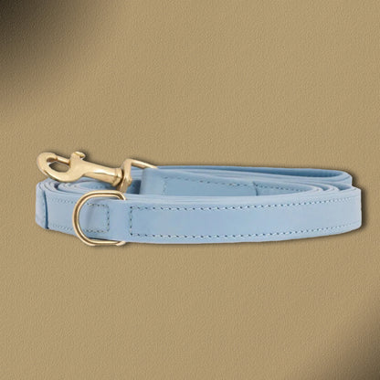 William Walker Hochwertige Leder Hundeleine Plain