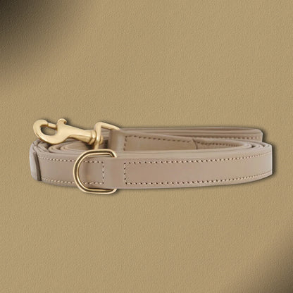 William Walker Hochwertige Leder Hundeleine Plain