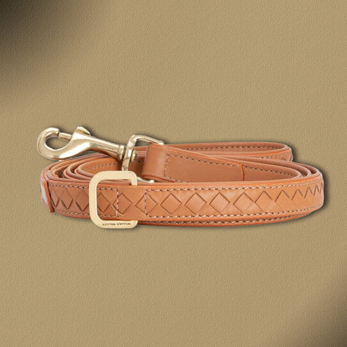 William Walker Hochwertige Leder Hundeleine Prestige